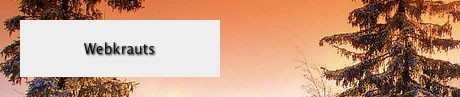 Demonstration von text-shadow anhand des Namens Webkrauts